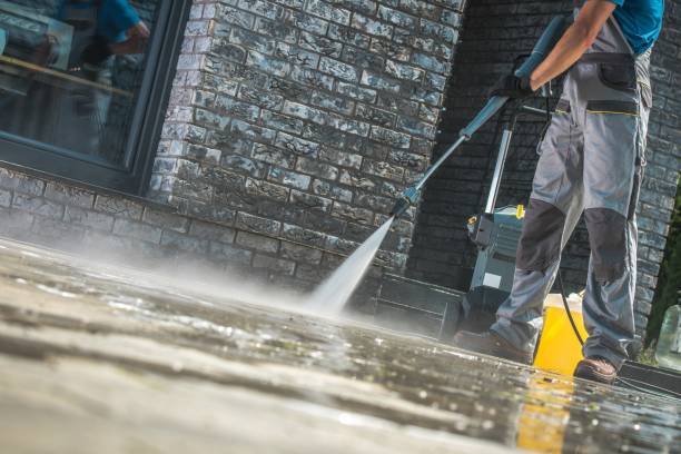 Best Roof Washing  in Dundee, MI